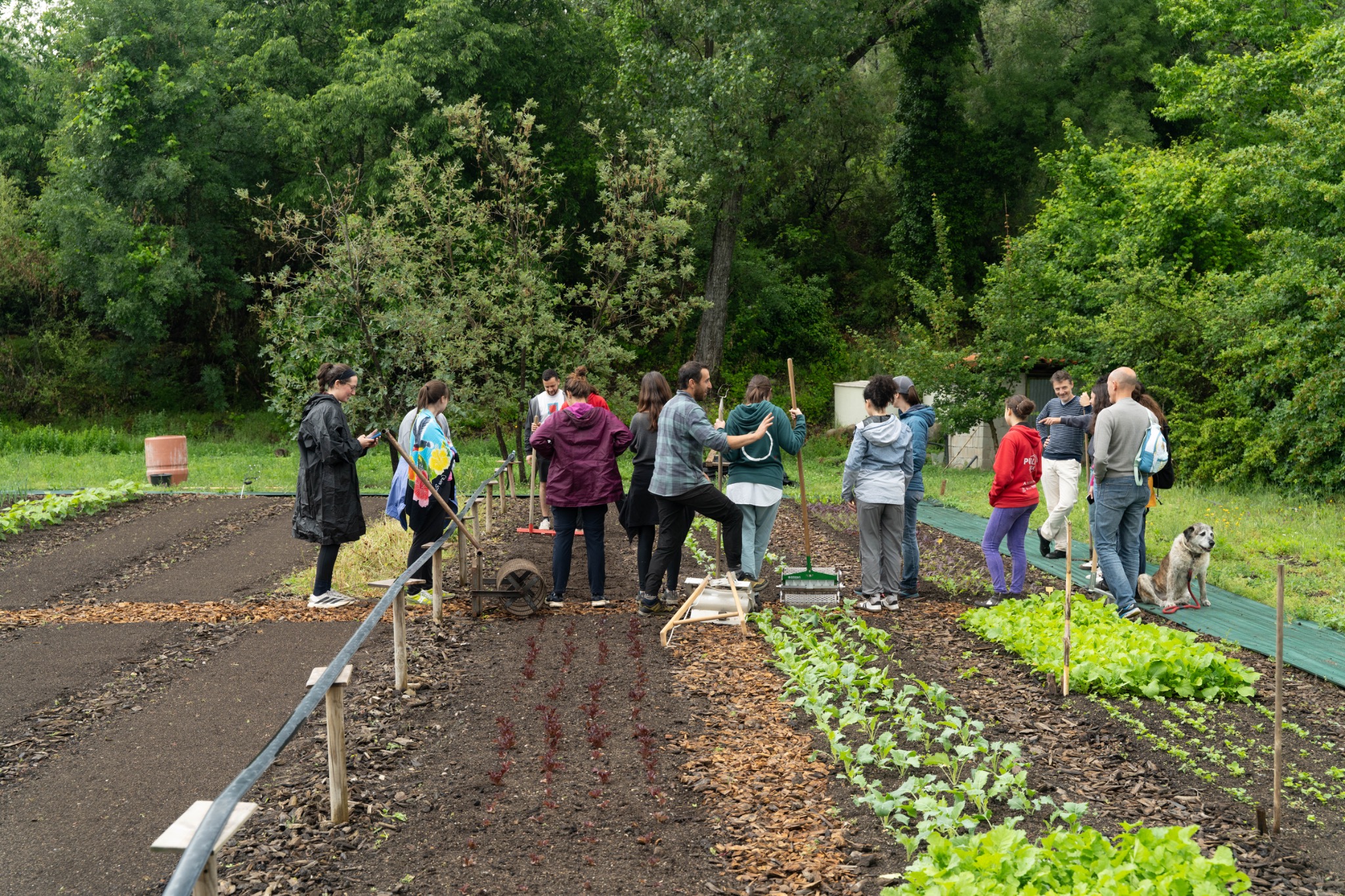 People learning together in the garden