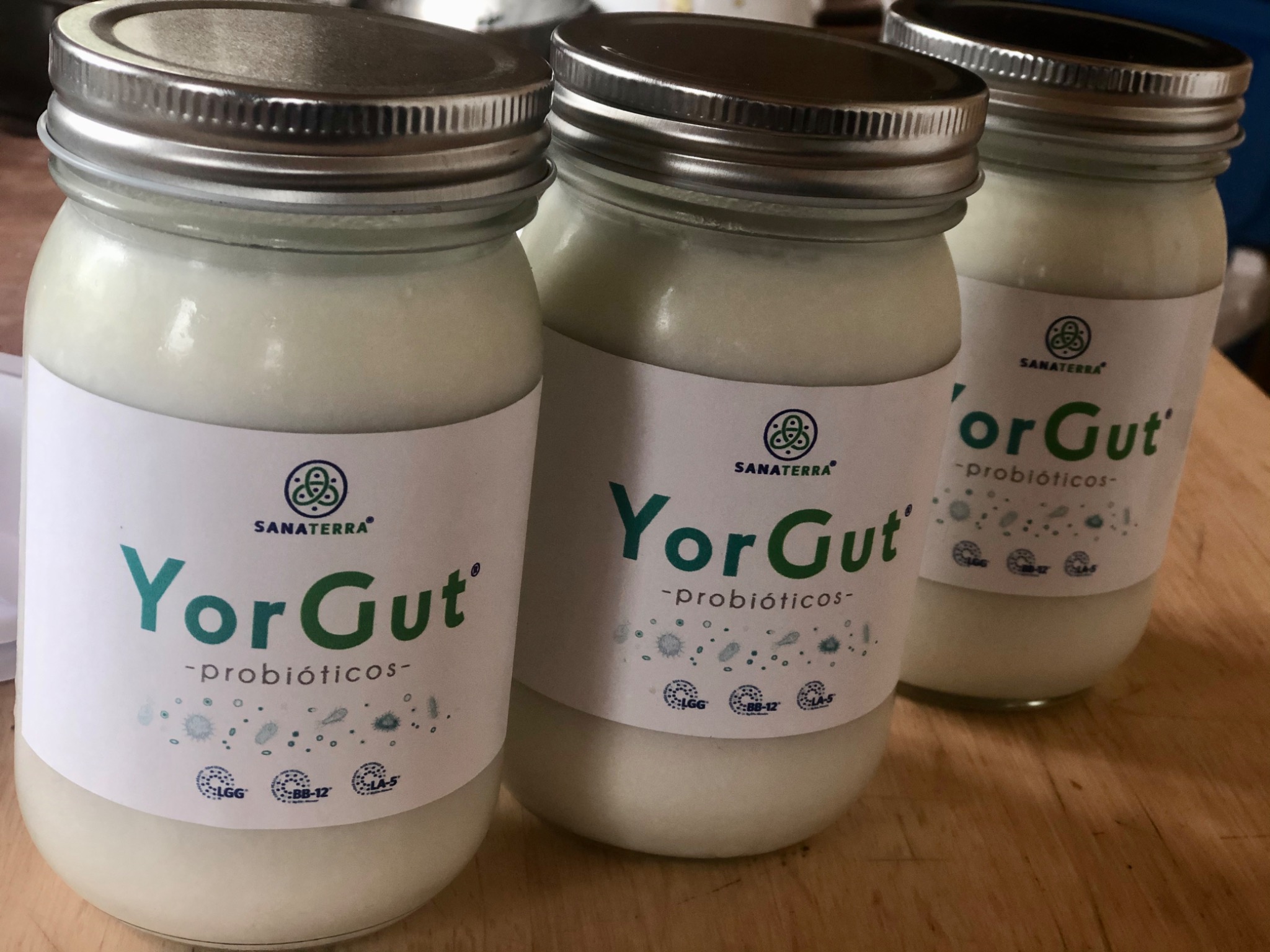 YorGut functional goat milk yogurt