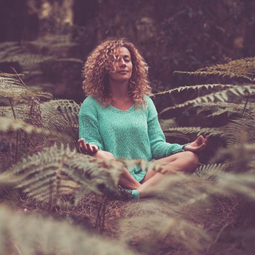 Sanna Terra Meditacion